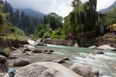 doğal görünümünü tarihi: Hindistan eyaleti