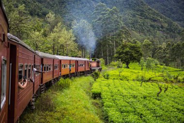 Nuwara Eliya, Sri Lanka-Nisan 12: Eski trende 12 Nisan 2018 yılında Nuwara Eliya, Sri Lanka. Çay tarlaları Tren