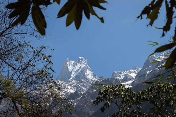 Překrásnou Přírodu Pohoří Himálaj Sledování Base Campu Annapurna — Stock fotografie