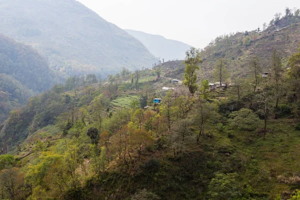 尼泊尔村庄的田野在通往喜马拉雅山安娜普尔纳大本营的轨道上 — 图库照片