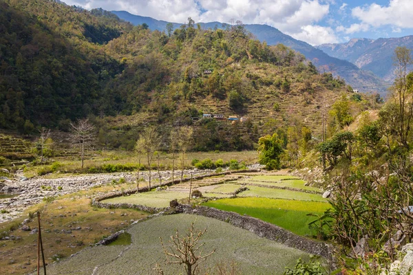 Campos Aldea Nepalí Camino Campamento Base Annapurna Himalaya — Foto de Stock