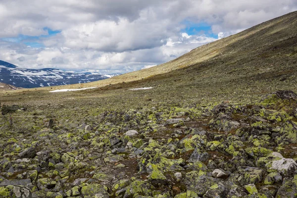 Όμορφο Τοπίο Του Εθνικού Πάρκου Jotunheimen Νορβηγία — Φωτογραφία Αρχείου