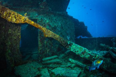 II. Dünya Savaşı sırasında Red Sea, Mısır İngiliz askeri nakliye gemisi battı