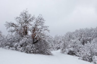 güzel karlı Highlands Kırım'doğal görünümü 