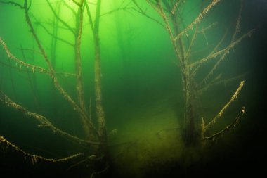 Ukrayna nehrin dibini doğası