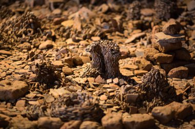 Soyut dünya küçük taştan