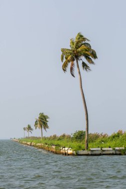 doğal görünümünü tarihi: Hindistan eyaleti