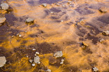 Geothermally etkin Haukadalur Vadisi