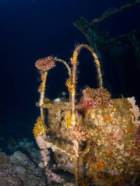 Red Sea yakınındaki Sharm El Sheikh, Mısır Resifi'nde Tarih Glassboat batık