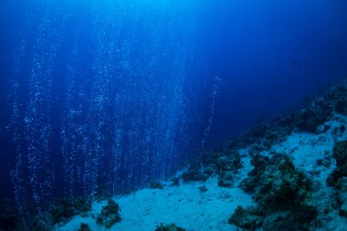Dahab kanyonda yükselen kabarcıklar