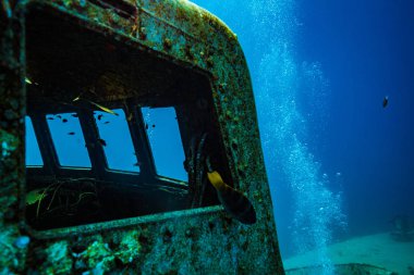 Sualtı atışı ve deniz zemini