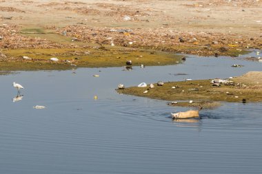 doğal görünümünü tarihi: Hindistan eyaleti