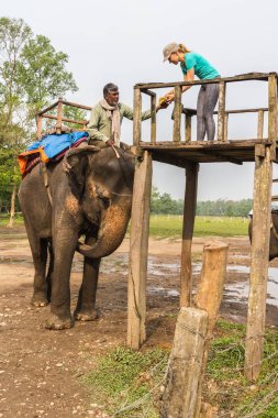 Chitwan, Nepal-Mart 27: Elephant safari 27, 2015 yılında Chitwan, Nepal. Chitwan Milli Parkı içinde fil binmek.