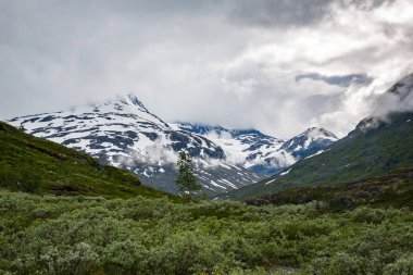 Norveç Milli Parkı Jotunheimen güzel manzara