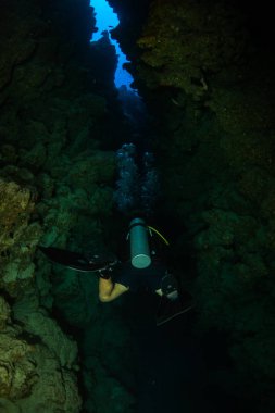 Dalgıçlar Kızıldeniz reaf üzerinde