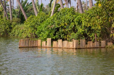 doğal görünümünü tarihi: Hindistan eyaleti