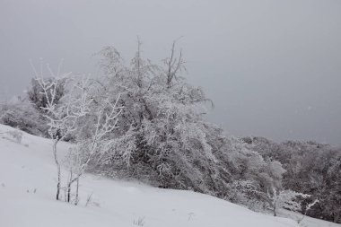 güzel karlı Highlands Kırım'doğal görünümü 
