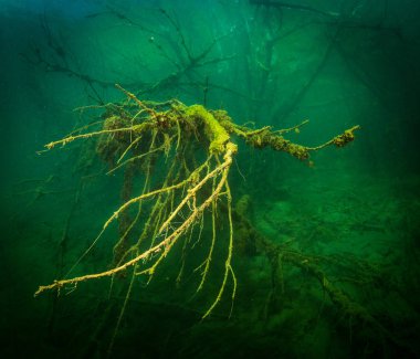 Ukrayna nehrin dibini doğası