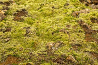Doku Reykjanesfolkvangur İzlanda Dağı.