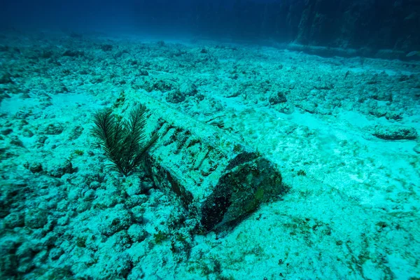 underwater picture of stone statues on ocean bottom