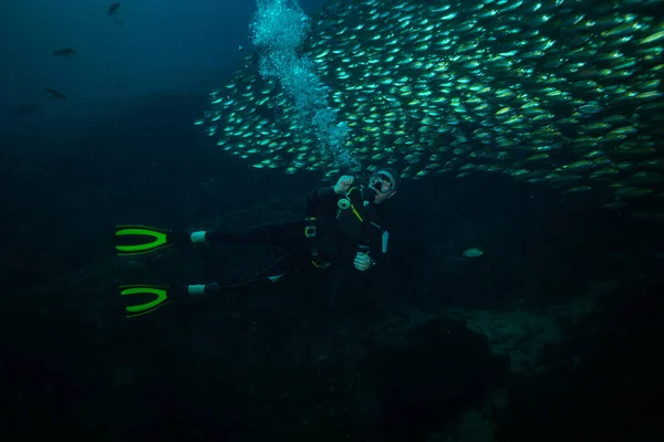Plongée Sous Marine Près Île Koh Tao — Photo