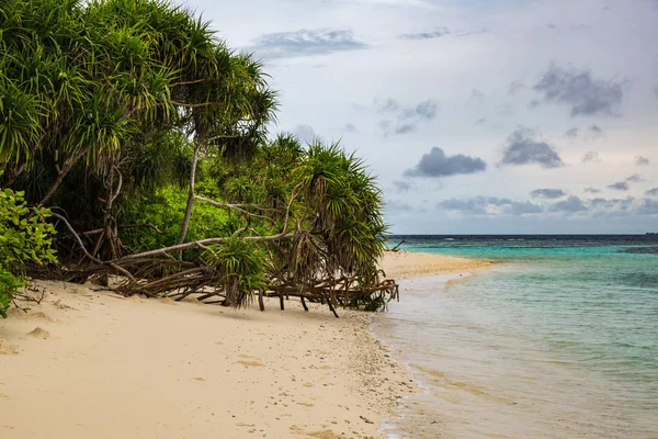 Relajación Durante Las Vacaciones Las Islas Maldivas — Foto de Stock