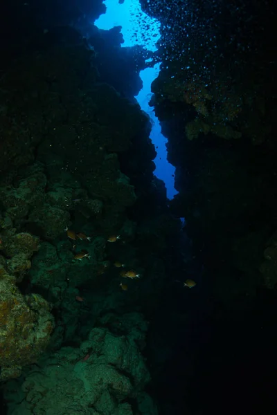 达哈布峡谷 在埃及潜水 — 图库照片