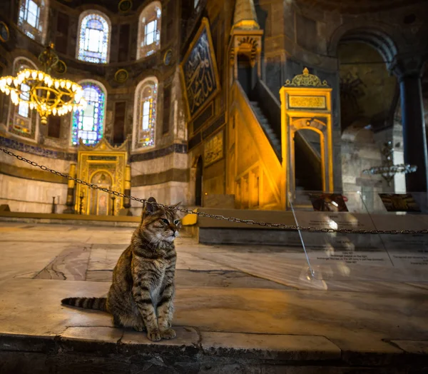 İstanbul 'daki Hagia Sofya Camii