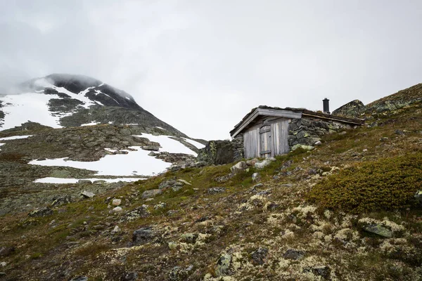 Noorse Huis Met Grasdak — Stockfoto