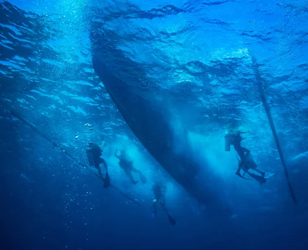 Plongeurs Sur Récif Mer Rouge — Photo