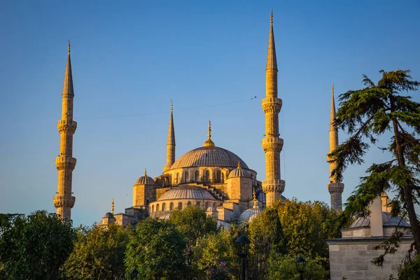 Mešita Sultán Ahmed Istanbulu — Stock fotografie