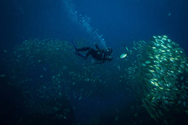 Plongée Sous Marine Nageant Sous Eau — Photo