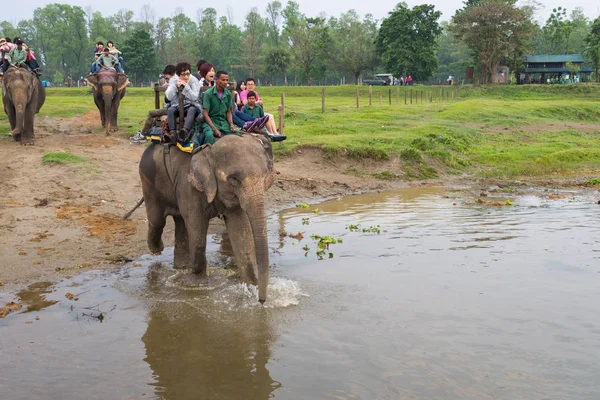 Chitwan Nepal Marzo Safari Elefantes 2015 Chitwan Nepal Paseo Elefantes — Foto de Stock