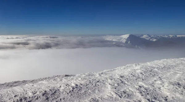 彼得罗斯乌克兰第二高的山 2020米 — 图库照片