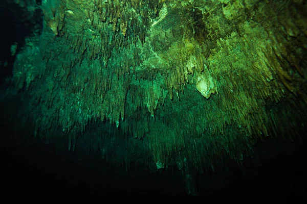 Image Sous Marine Grotte Fond Océan Mexique — Photo