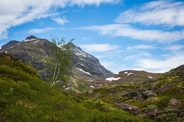 Hermoso Paisaje Del Parque Nacional Noruego Jotunheimen — Foto de Stock