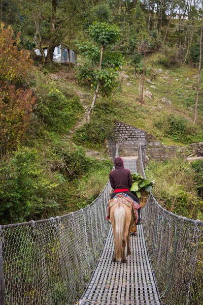 Narchyang Nepal Marzo Himalaya People 2015 Narchyang Nepal Persone Pista — Foto Stock