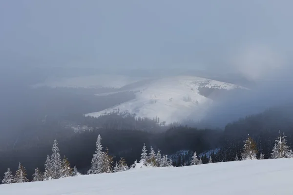 Beau Paysage Hivernal Dans Les Montagnes Des Carpates Ukrainiennes Enneigées — Photo