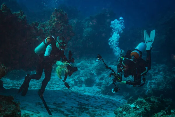 Buceadores Arrecife Del Mar Rojo — Foto de Stock