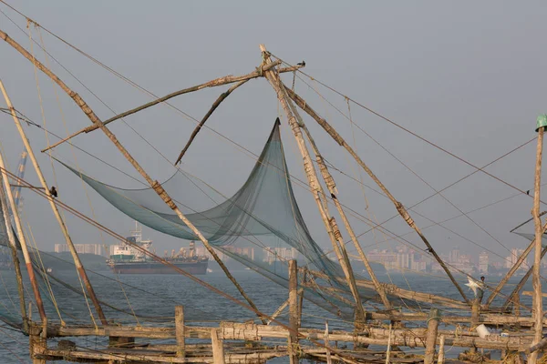 Kochin Inde Février Poissons Indiens 2013 Kochin Inde Poissons Utilisant — Photo