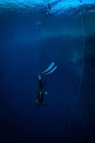 Plongeurs Sur Récif Mer Rouge — Photo