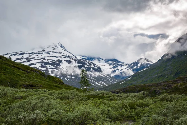 Bela Paisagem Parque Nacional Norueguês Jotunheimen — Fotografia de Stock