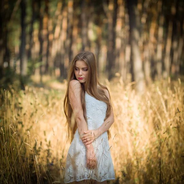 Ein Junges Schönes Mädchen Einem Fichtenwald — Stockfoto