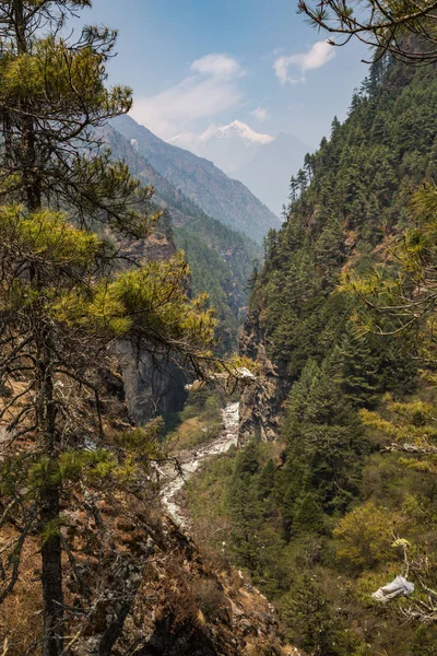 Blick Auf Den Bergpfad Auf Dem Treck Zum Everest Basislager — Stockfoto