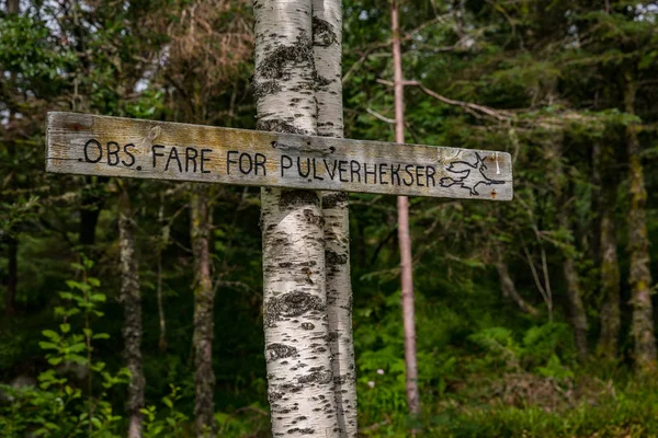 Der Blick Auf Einen Norwegischen Wald Sommer — Stockfoto