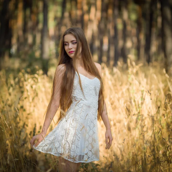Молода Красива Дівчина Ялинковому Лісі — стокове фото