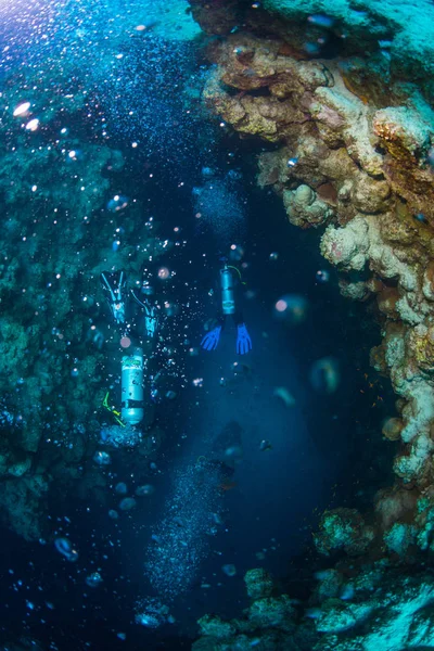 Vue Sous Marine Des Plongeurs Sur Récif Mer Rouge Egypte — Photo