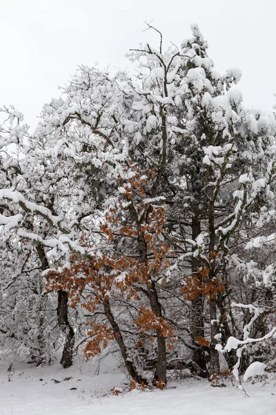 Мальовничий Вид Красиві Snowy Нагір Криму — стокове фото