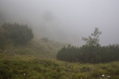 Romanya'da güzel dağlar manzara