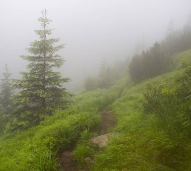 Karadağ dağ aralığının puslu görünümü